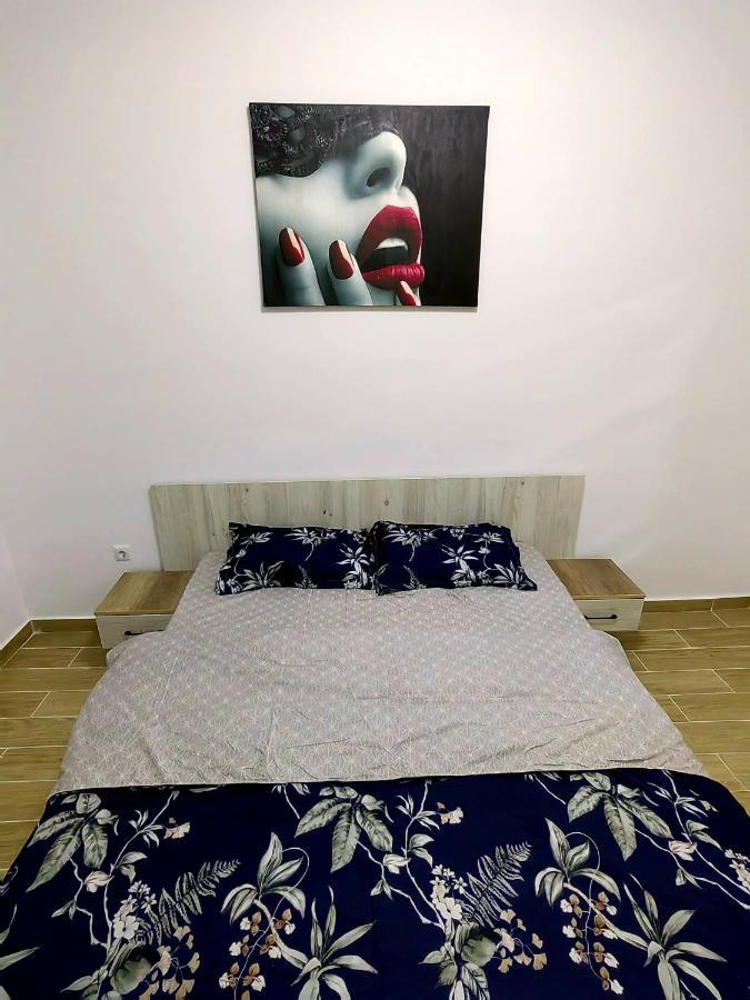 Apartmán Militari Luxury Flat Roşu Exteriér fotografie